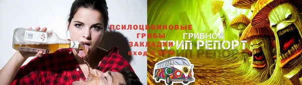 винт Алзамай