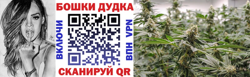 Бошки Шишки план  hydra сайт  Арсеньев 